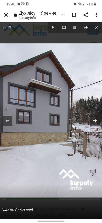 Villa Дух Лісу Yaremche Exterior foto